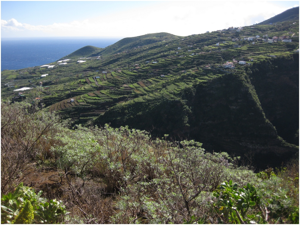 La-Palma-Foto-Eine-Landschaft-im-Nordosten-der-Insel-La-Palma
