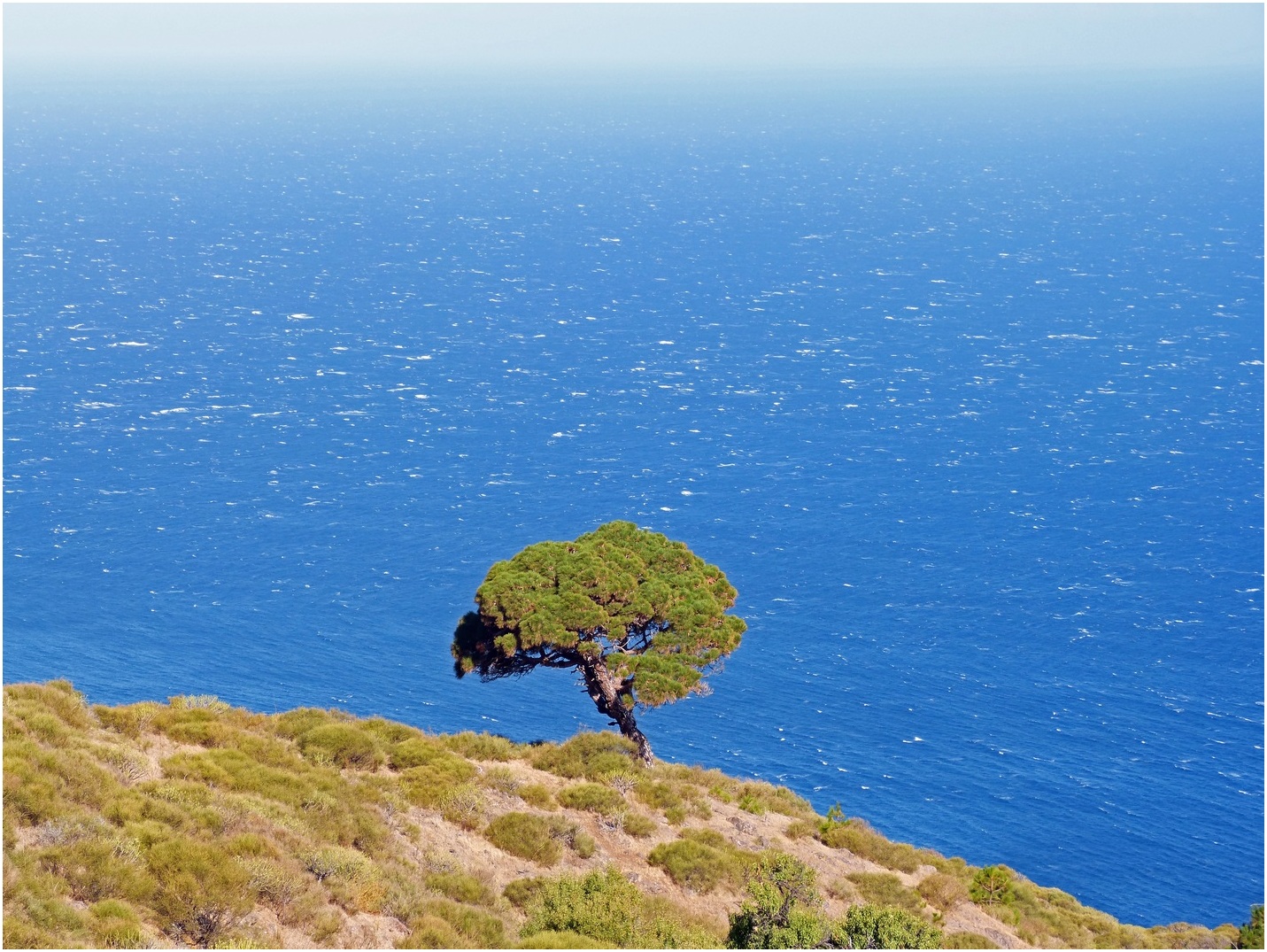 La Palma-der Nordwesten an der Steilküste