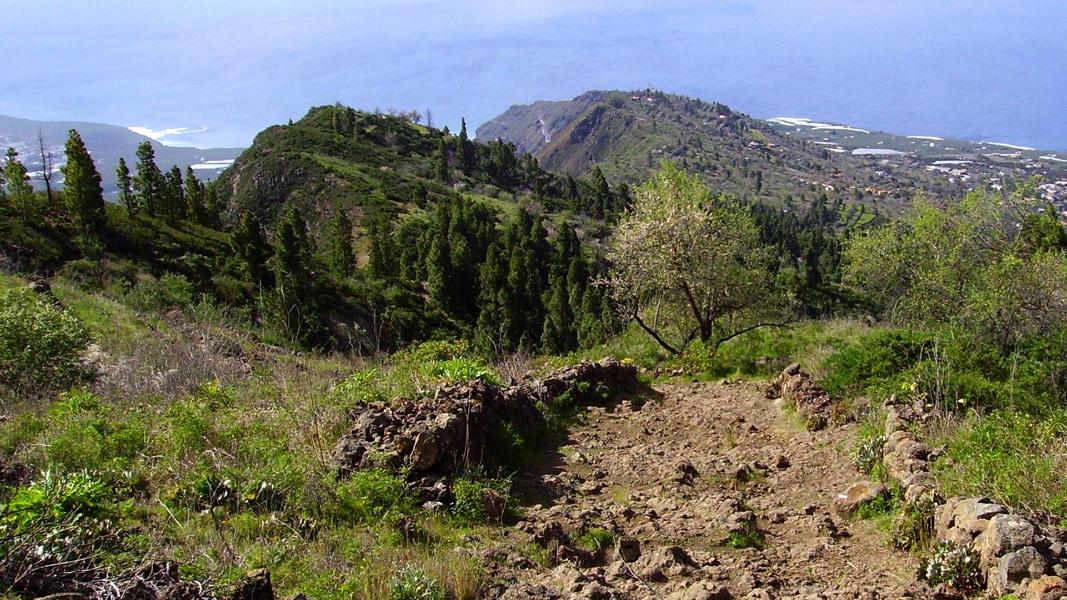 La-Palma-Wanderung-auf-dem-Wanderweg-GR-131