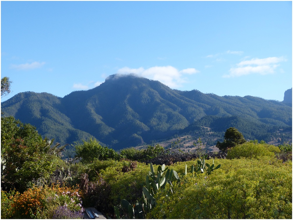  La-Palma-Wandern-Der-Hausberg-von-El-Paso-Pico-Bejenado
